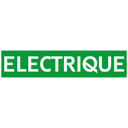 pour indiquer que le modèle exposé est Electrique.